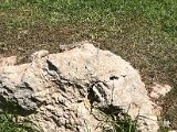 IMG_2255.JPG